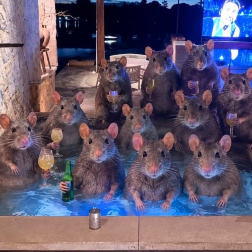 DÊTO OLIVEIRA COMENTA A “PISCINA DO GRUPO SELETO”